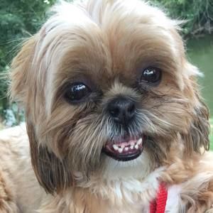 Meet your Posher, Jason